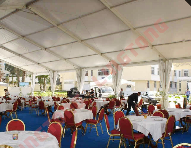 7801620897411178.jpg 0842 (26).JPG